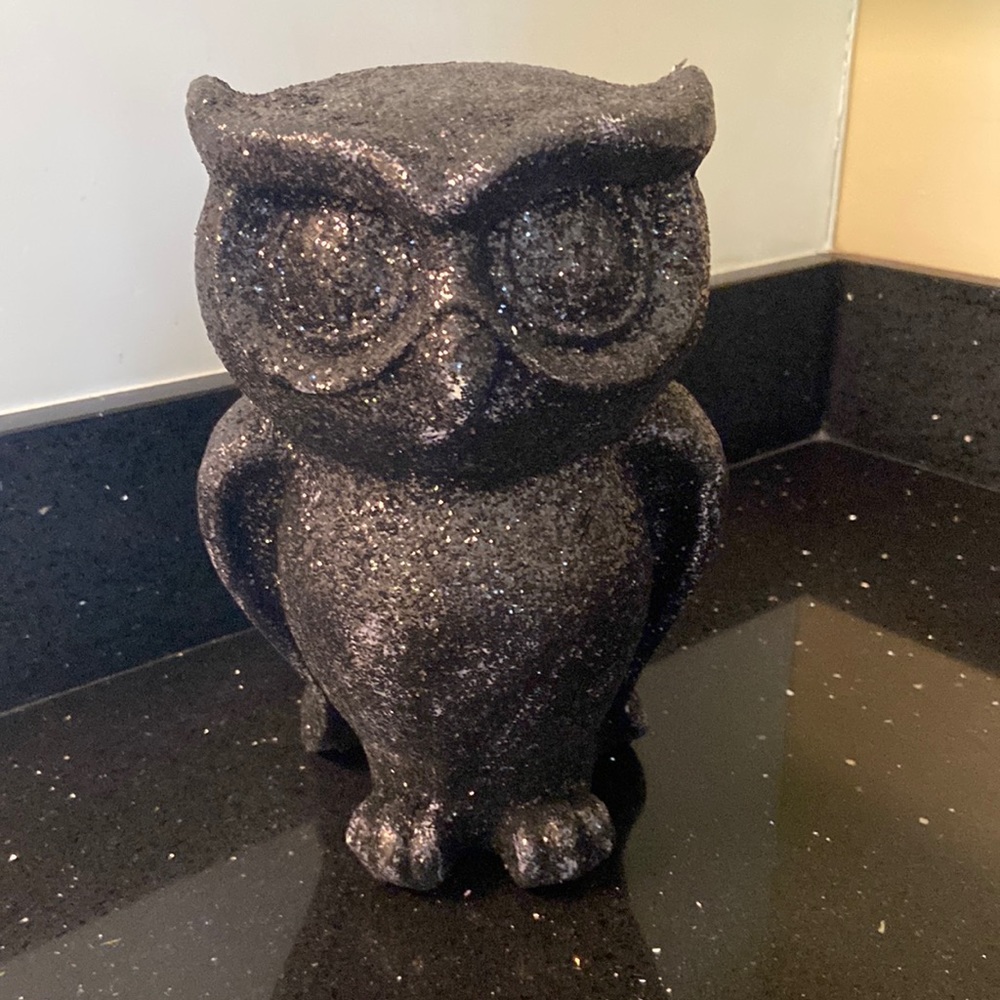 Black Glitter Owl Halloween Large Craft DIY Farmhouse Spooky Goth Summerween - Picture 1 of 11